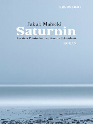 cover image of Saturnin